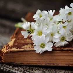 AnnaKare Learning Tools: Homeopathy & Schuessler Cell Salts Courses and Guides