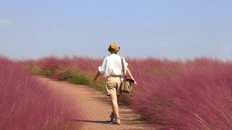 Six Essential Homeopathic Travel Remedies