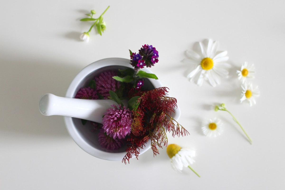 4 Myths About Homeopathic Medicine Debunked