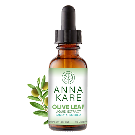 Olive Leaf Liquid Extract - HomeopathyStore.com